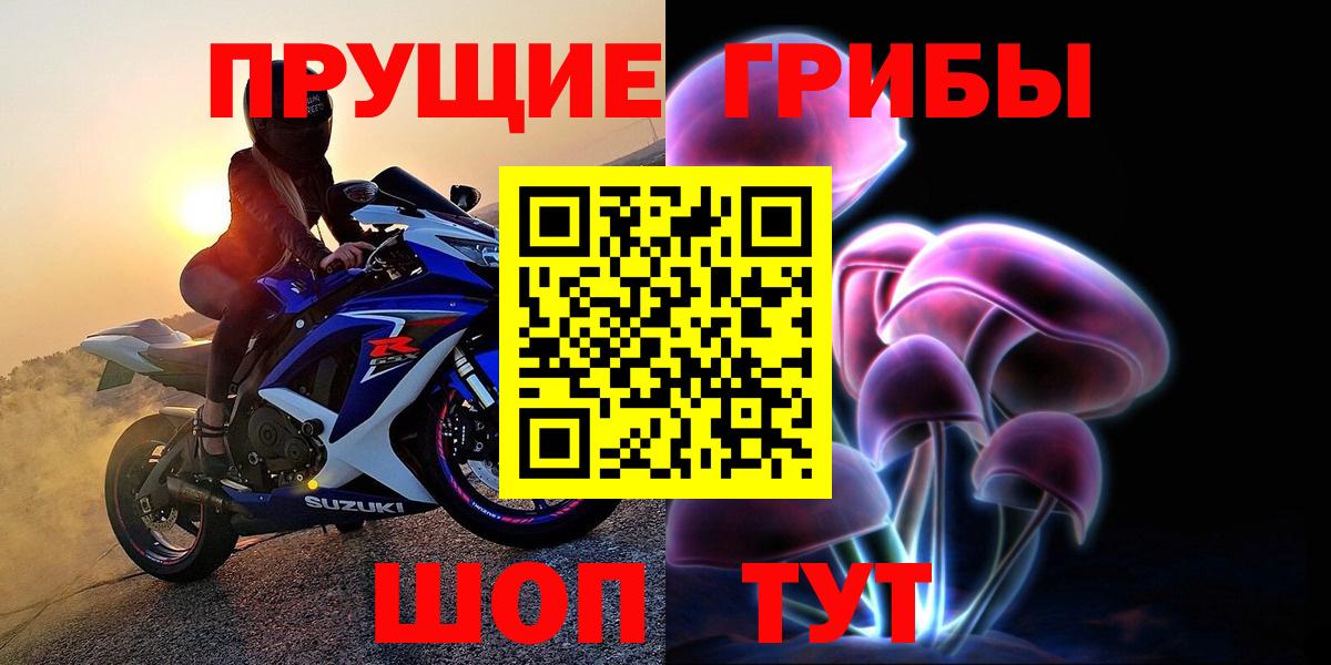 Приморско-Ахтарск  Псилоцибиновые грибы мухоморы  где купить   Вход с VPN 