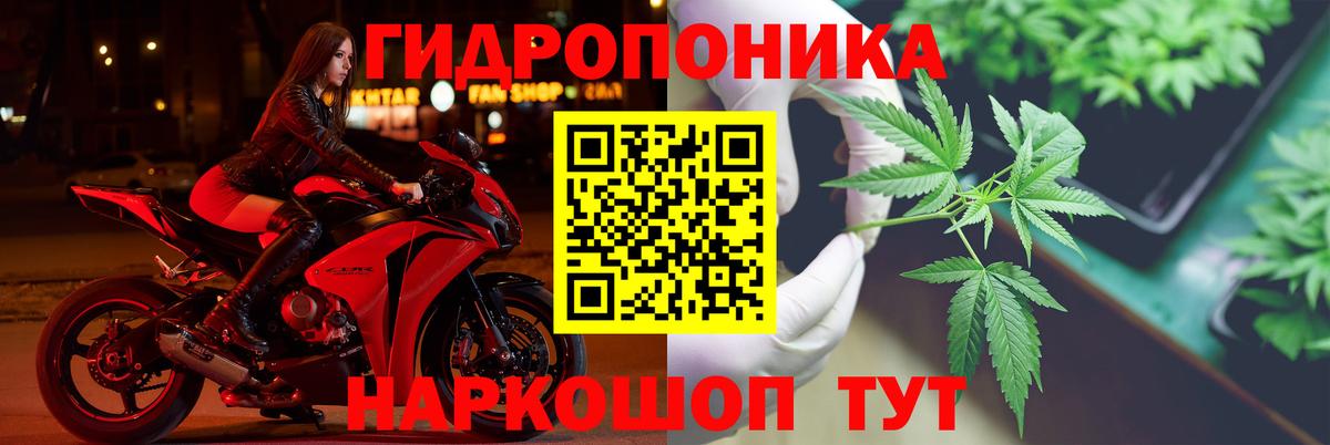 Шишки марихуана THC 21%  Конопля White Widow  Вход с VPN  Конопля LSD WEED  Приморско-Ахтарск 